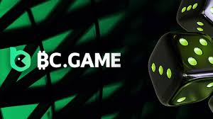 استعراض شامل About BC Game
