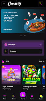 Experience the Best Joe Fortune Casino Australia for Everyone Experience the Best Joe Fortune Casino Australia for Everyone